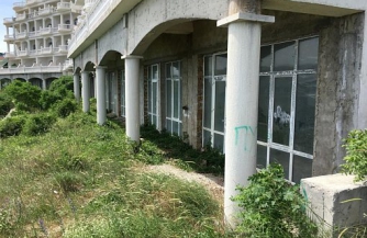 Проросла трава